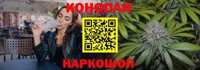 Альфа ПВП Обь
