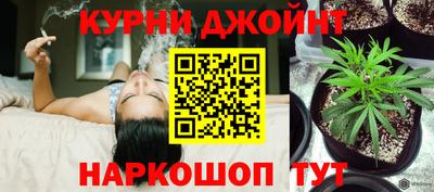 Альфа ПВП Обь