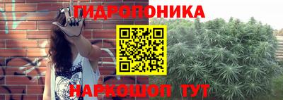 Альфа ПВП Обь