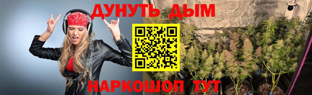 Санкт-Петербург  Марихуана White Widow  Вход с VPN  Бошки Шишки VHQ 